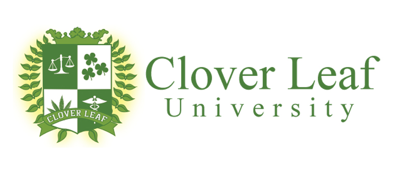 Clover Leaf University to conduct first study on cannabis effectiveness treating childhood epilepsy