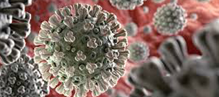 CSU vaccine research advances to develop coronavirus vaccine for next pandemic