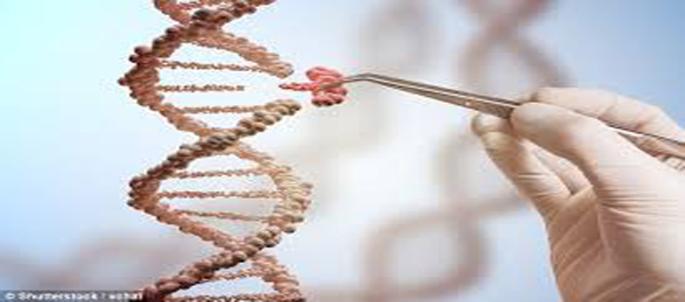 CRISPR program to focus on gene-editing technology