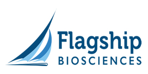 flagship-logo